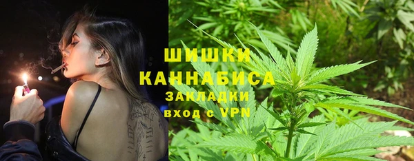 стафф Кулебаки
