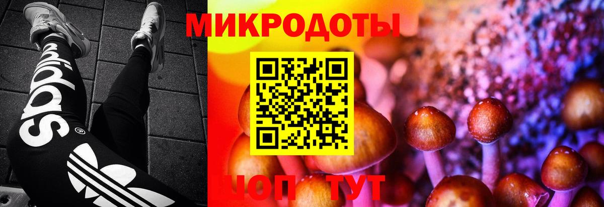 Галлюциногенные грибы Cubensis  Вход с VPN  Галлюциногенные грибы MAGIC MUSHROOMS  Сокол 